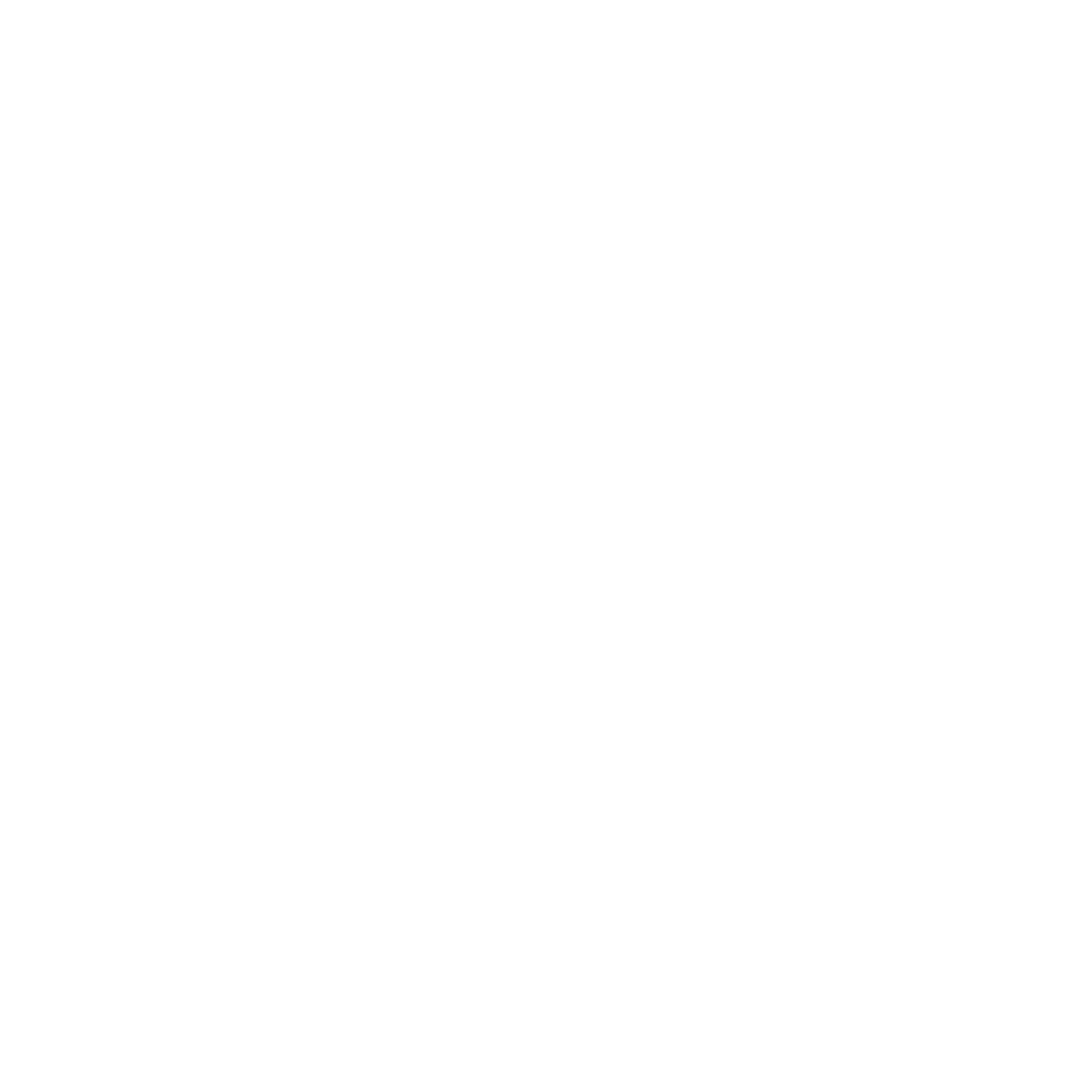 OBAINC — Olé Business Agility